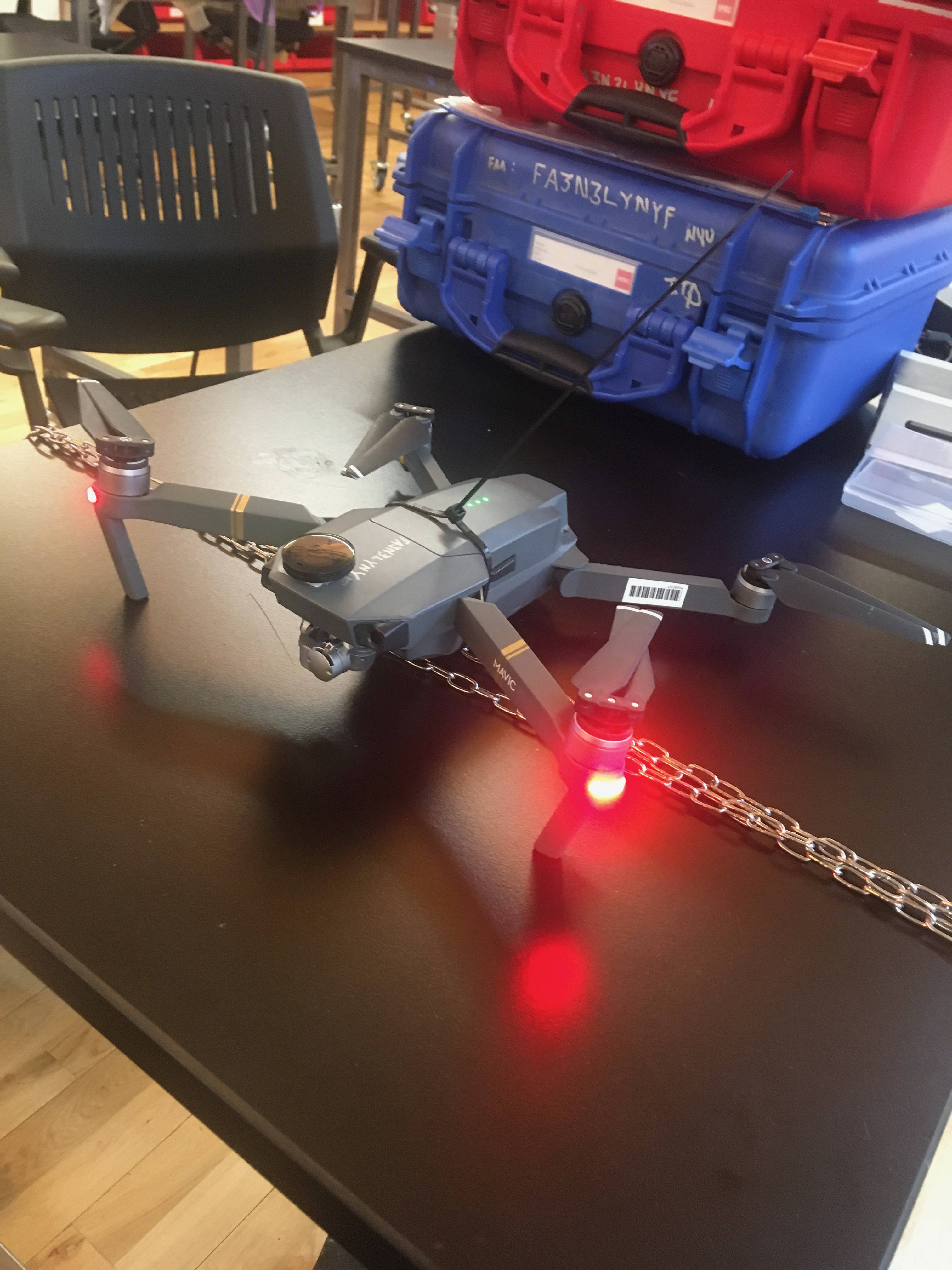 Custom app interface with 'My Flight Program' button