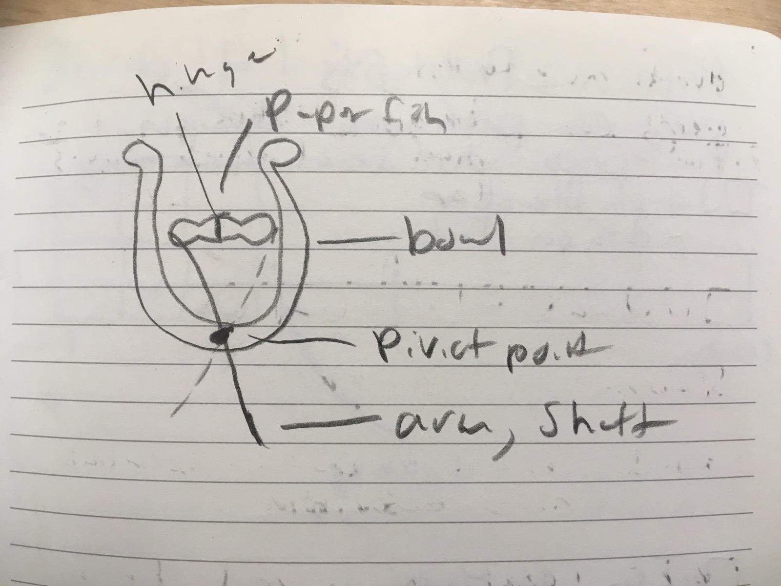 Initial Sketch