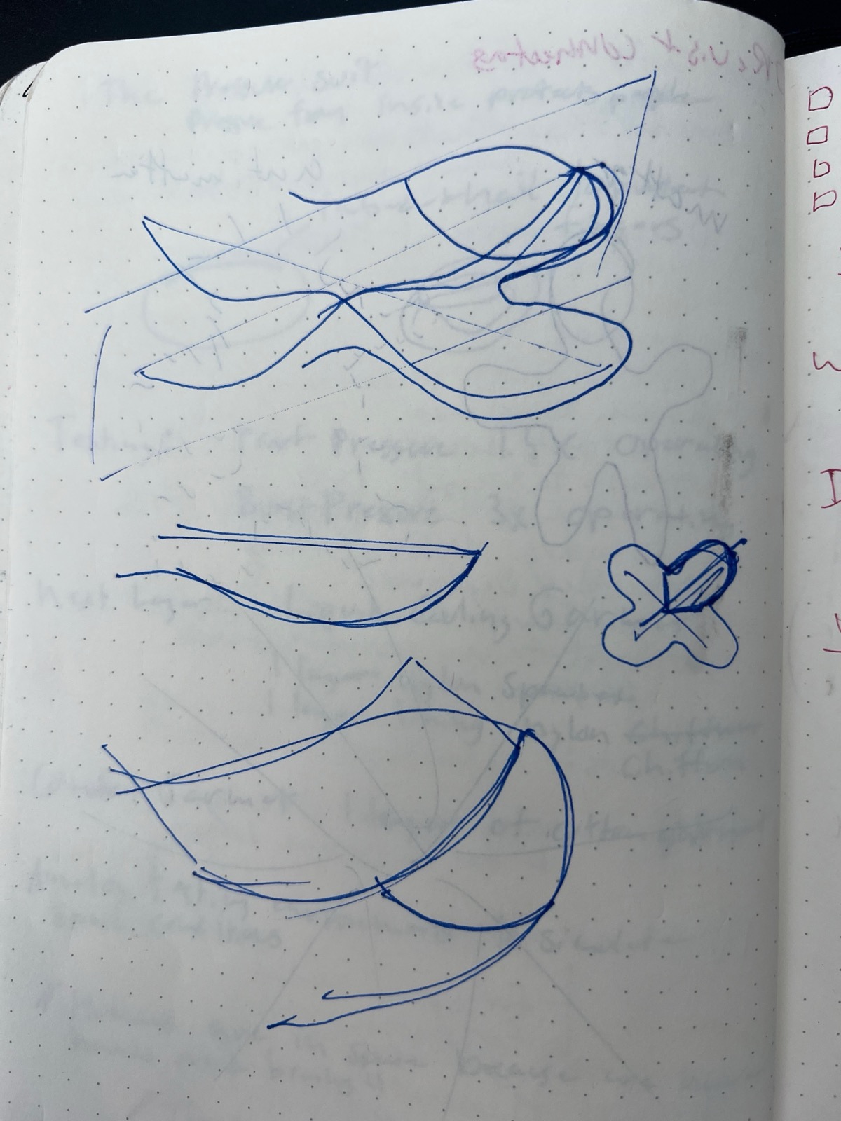 Notebook page with blue-pen sketches of curved skin and petal forms