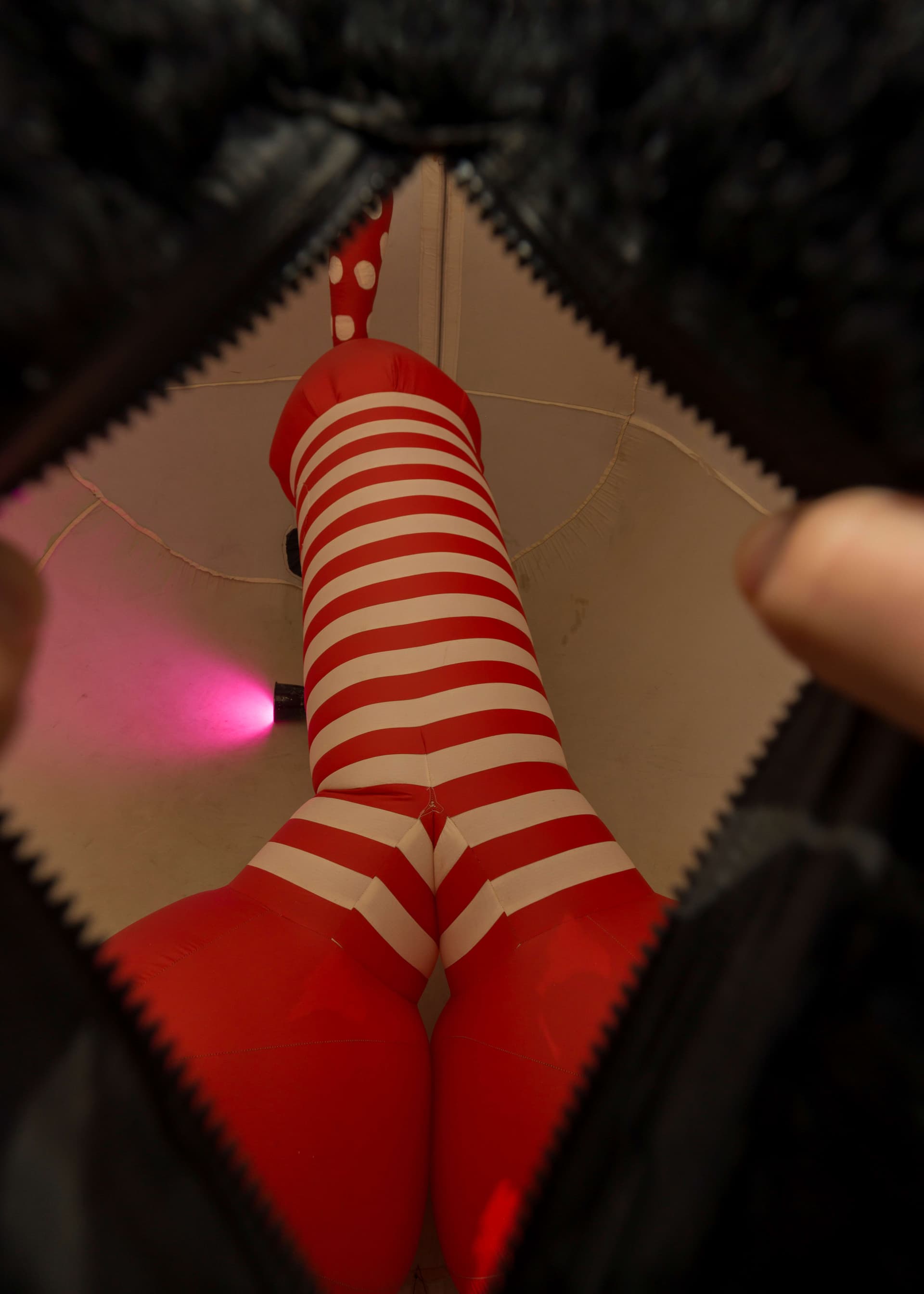 Interior of Red Dick inflatable sculpture