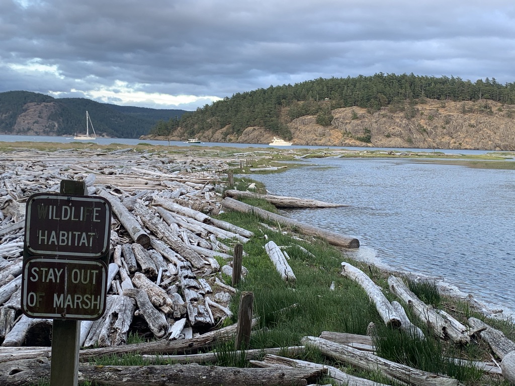 A driftwood-covered shoreline at a marsh with a Wildlife Habitat, Stay Out of Marsh sign, boats and forested hills behind