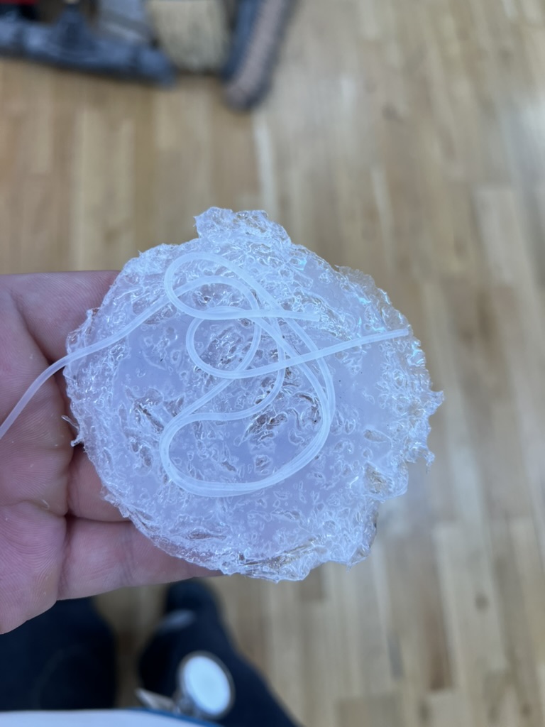 A hand holding a round, bubbly clear silicone print with a thin worm-like silicone noodle looped across the top